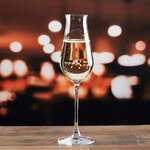 Anchor Hocking , 1LS10SL08, Glass, Champagne / Sparkling Wine