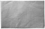 Disco Cellucap , D1324S5, Fryer Filters